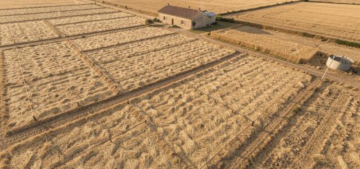 Vue aérienne réaliste d’une exploitation agricole française touchée par la sécheresse, avec des parcelles couvertes de paillage, des lignes de goutte-à-goutte et une petite citerne de récupération d’eau de pluie.